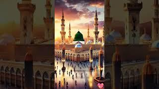 Wah Mera Nabi Hai - A 21st Century Response
