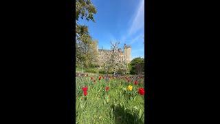 Spring in Arundel Castle Gardens