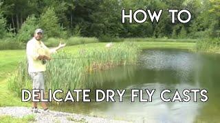 Dry Fly Casts | Delicate Presentations