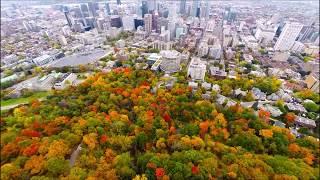 Aerial view Mount Royal Park (Mont-Royal) - Montreal (Quebec) - Canada (by drone) at Fall