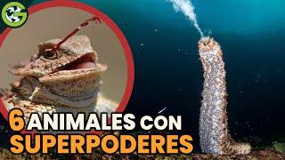 Los SUPERPODERES más RAROS de los ANIMALES 