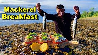 EASY Mackerel FISHING On The Shore - Catching and Cooking on the beach