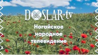 Ногайское телевидение DOSLAR.tv Ногаи подписываемся️Поддержка ребятам 150₽ в месяц  Репост