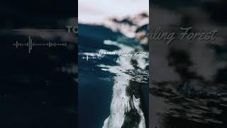 깊은 바다 속에서 만나는 바다의 숨소리! 심해 수중 소리! │ #몽환적인 #underwater #심해 #asmr #깊은잠 #수면 #깊은잠 #숨소리