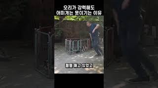 어미개의 막대기 한방에 꼬리 내린 오리