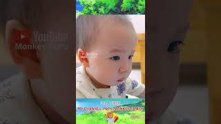 Monkey PUPU does not give candy to the baby Part 2! #animals #babymonkey #pupumonkey