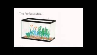 Aquarium Bacteria Bioload and BALANCE