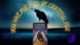 The #CrowTarot has a Message for You