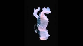 Animated Wallpaper n.7 from iPhone 6s and iOS 9 | iSpazio.net Exclusive