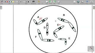 PREPARATORY EXAMINATION GRADE 12 LIFE SCIENCES PAPER 2 SEPTEMBER 2024 SECTION A 50 MARKS.