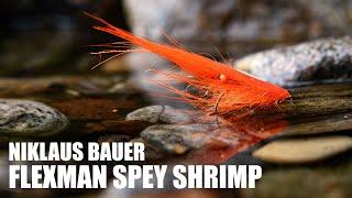 Flexman Spey Shrimp - Niklaus Bauer