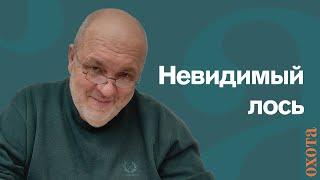 Невидимый лось. Валерий Кузенков о том, оставляет ли лось следы после снегопада?