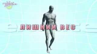 Видеообзор палок для скандинавской ходьбы. Техника ходьбы для начинающих пожилых людей.