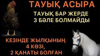 ТАУЫҚ АСЫРА|ЖЫЛҚЫ-АДАМ ДОСЫ|МАЛДЫ ТЕППЕ #салтдәстүр #ырым #нақылсөздер