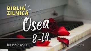 Biblia zilnică - Osea 8-14 - Biblia audio