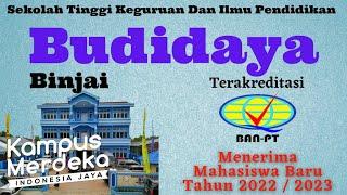 Pilihan Program Studi Di STKIP Budidaya Binjai