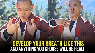 5 Minutes Breathing Exercise To Heal Your Body Completely | Shin heng yi (Practice Everyday)