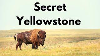 15 Ways to Escape the Crowds in Yellowstone!