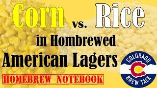 Rice vs. Corn Homebrewed American Lager Adjunct Experiment