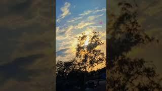short video ##shortvideo ##shots