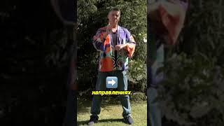 Как направить силу воли на успех