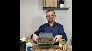 Черенкуем, пикируем рассаду, увеличиваем всхожесть семян используя эффективные недорогие препараты