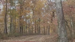 Driving on the Old Trace in Tennessee (10/27/23, 1:49 PM)