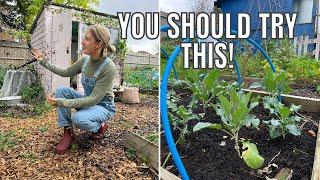 THIS IS GENIUS!! / ALLOTMENT GARDENING UK