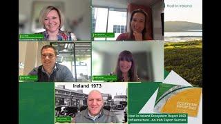 WEBINAR: Digital Infrastructure: An Irish Export Success