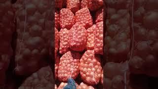 صادرات به عراق