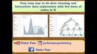 Dat/Fun Data cleaningdata exploration in R|decision tree algorithm in machine learning