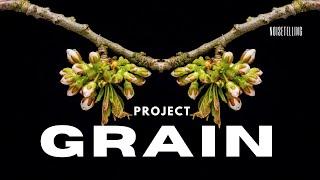 Project Grain