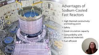 Advantages and Disadvantages of Generation IV Nuclear Reactors