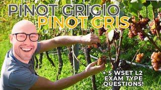 Pinot Grigio aka Pinot Gris: Everything You Need to Know—WSET L2 in Wines +WSET exam-type questions