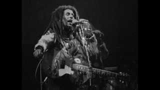 Bob Marley & The Wailers  " Live Zurich 80 " HD (1/2)