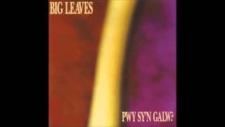 Seithennyn - Big Leaves