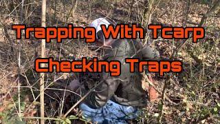 Trapping With Tcarp: Checking And Disabling Traps.