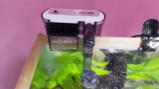 "Jeneca External Hanging Filter XP-03" unboxing and Installation