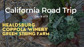 9 Day California Road Trip (Day 9): Healdsburg, Coppola Winery, and Green String Farm