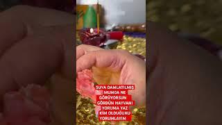 SUYA DAMLATILMIŞMUMDA NE GÖRÜYORSUN⁉️GÖRDÜN HAYVANI YORUMA YAZKİM OLDUĞUNUYORUMLAYIM‼️MEDYUM MAYER