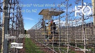 Future Orchards® Virtual Winter walks - Hoddys Fruit Co, NZ