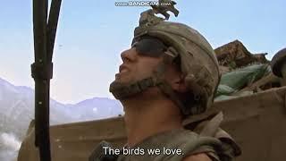 The Birds We Love (Restrepo 2010)