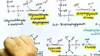 Glycolysis (Hindi) | Carbohydrate Metabolism | by Snigdha Goswami