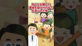 【2ch】猫をとっても可愛がってるお婆さんがいた…【アニマル】 #Shorts