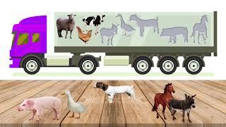 Farm Animal Match the Puzzle Shadow Fun game for children/Preschool learning video