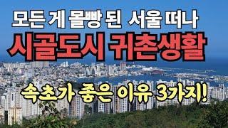 모든 게 몰빵 된 서울 떠나 강원도 바닷가 도시 귀촌했더니 속초 좋은 점 3가지!