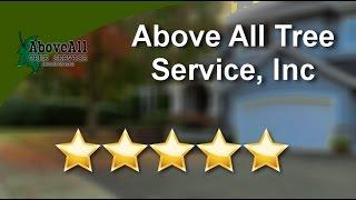 Above All Tree Service, Inc Conyers Wonderful Five Star Review by lauren w.