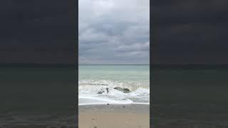 Осенью море по-особенному красиво. #крым #морекрыма #nature #море #crimea #природа #blacksea #asmr