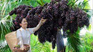 Harvesting Woody Grape Goes To Market Sell | Daily Life Of Strong Woman - Emma Daily Life