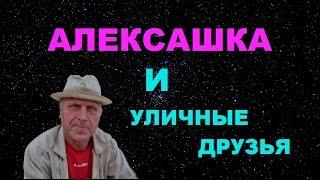 АЛЕКСАШКА И УЛИЧНЫЕ ДРУЗЬЯ